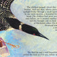 The Legend of the Loon Picture Book