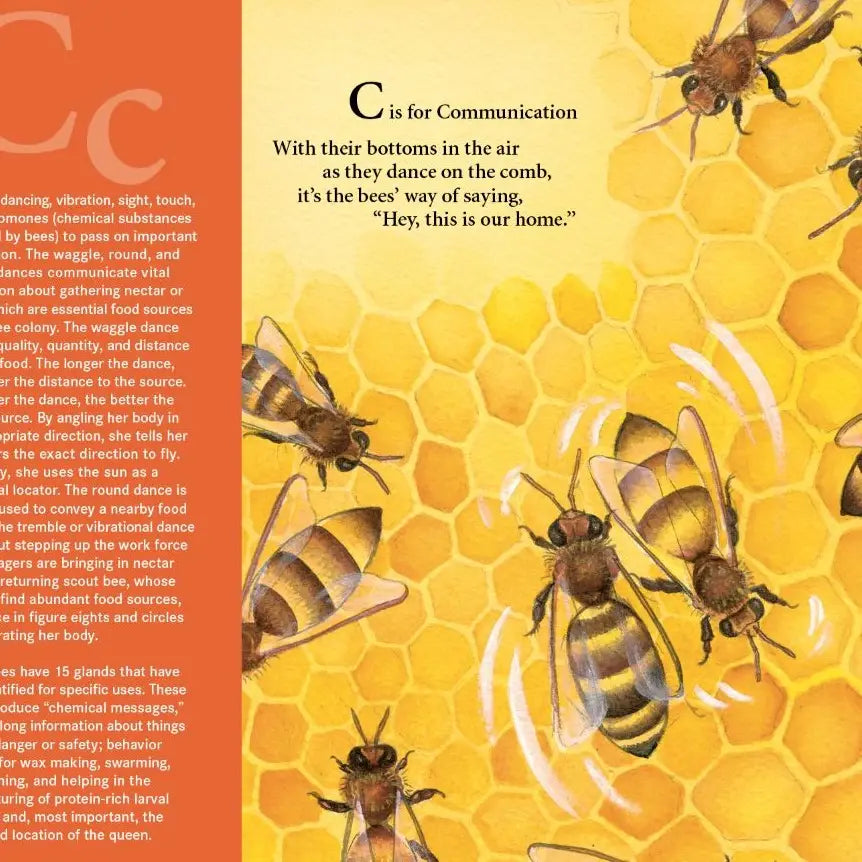 H is for Honey Bee
