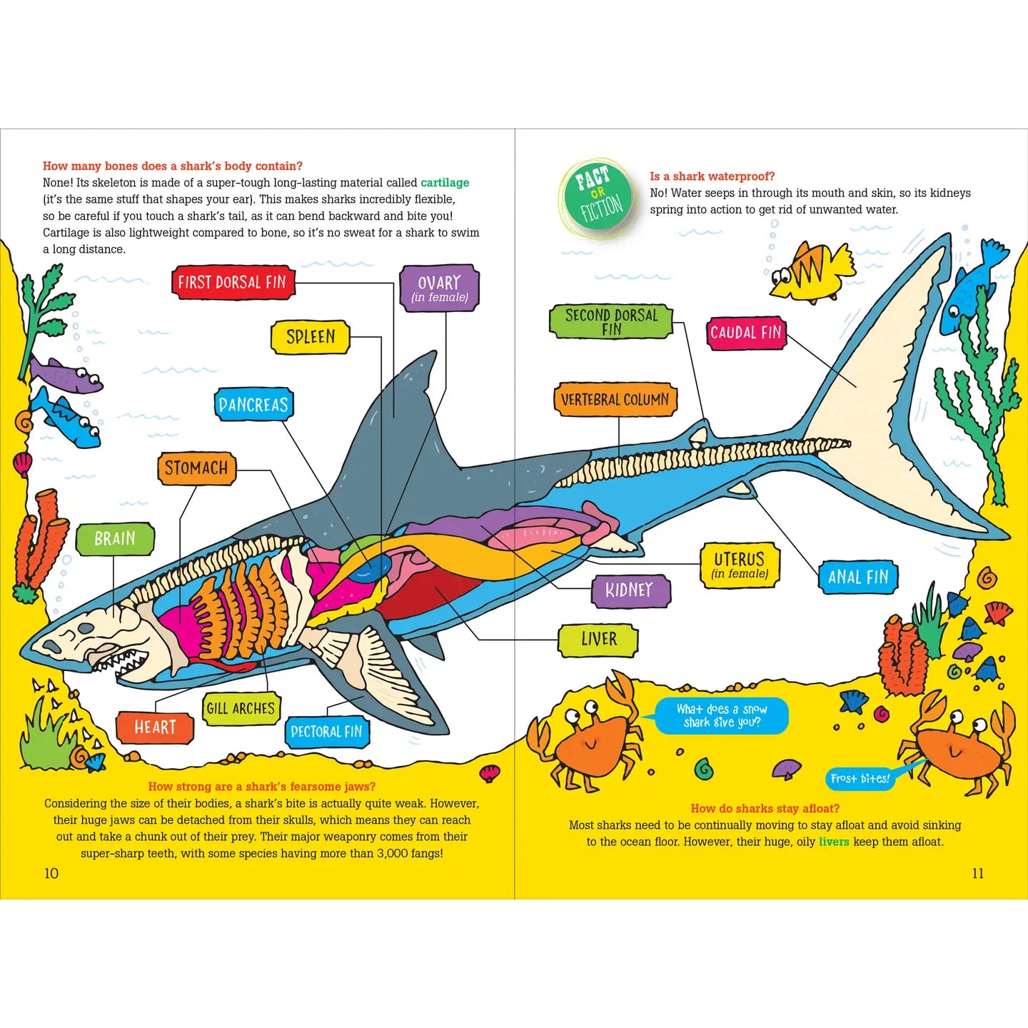 100 Questions about SHARKS