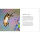 Hummingbirds: Marvels of the Bird World
