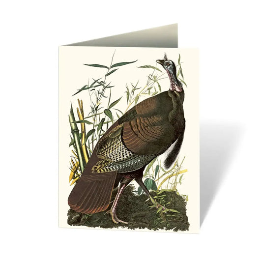 Audubon's Birds of America: An Abbeville Notecard, Cards