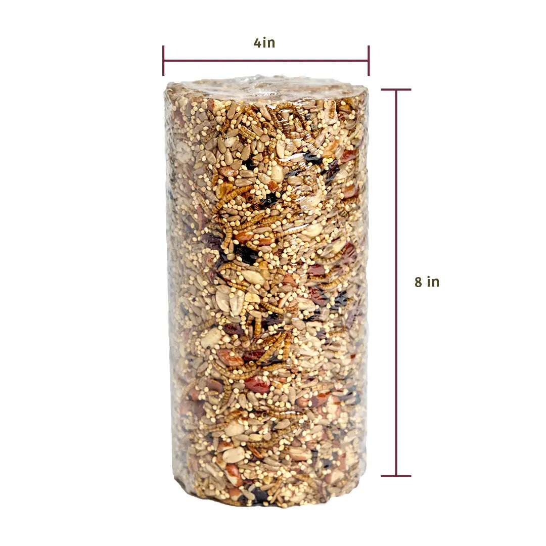 Bugs & Nuts Seed Cylinder