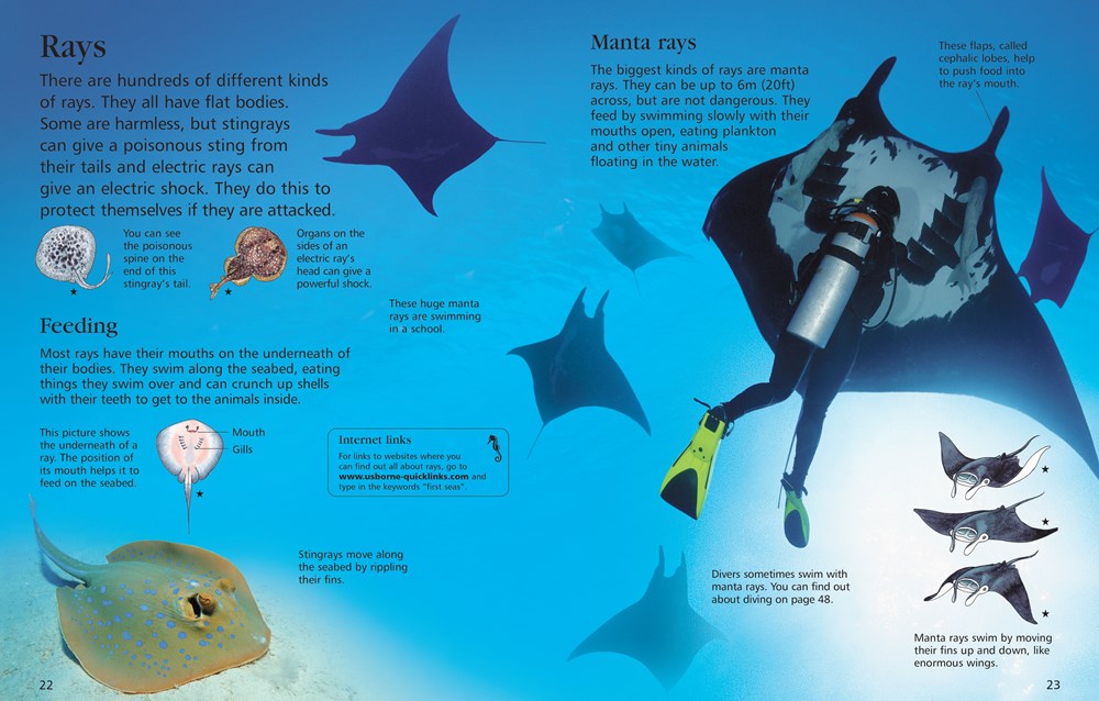 First Encyclopedia of Seas and Oceans: Ben Denne