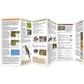 Birding 101 |Pamplets; 12 pages