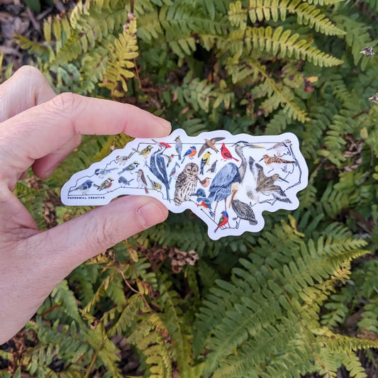 NC Birds Vinyl Sticker - Small