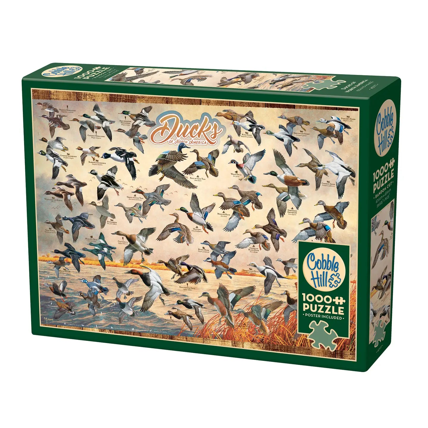 Ducks of North America 1000-Piece