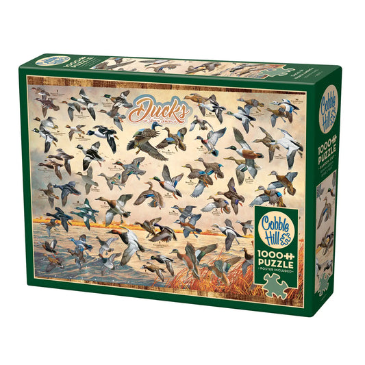 Ducks of North America 1000-Piece