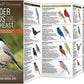 Feeder Birds of the Southeast