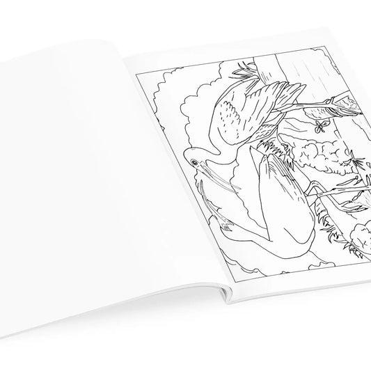 Audubon:Birds Coloring Book