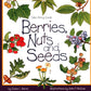 Berries, Nuts & Seeds: Take-Along Guide