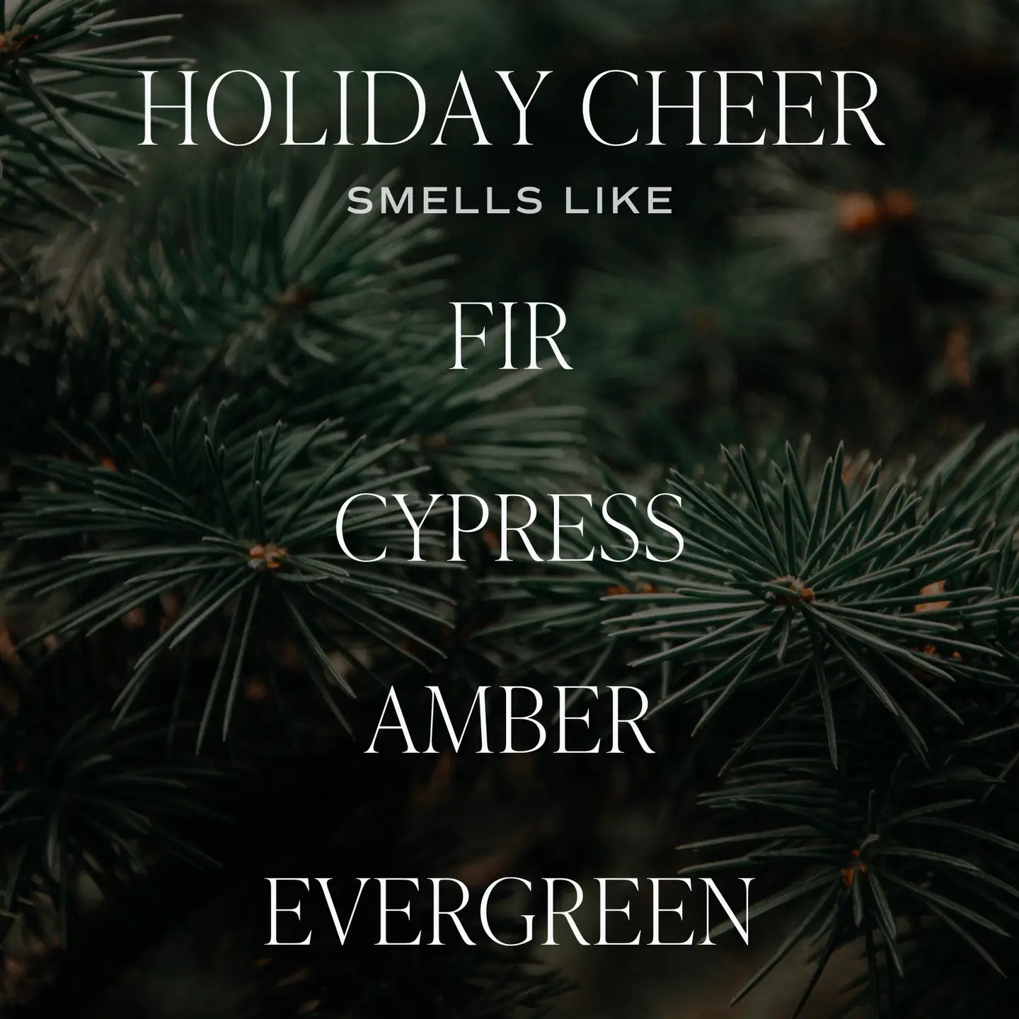 Candle, Holiday Cheer 9 oz Soy