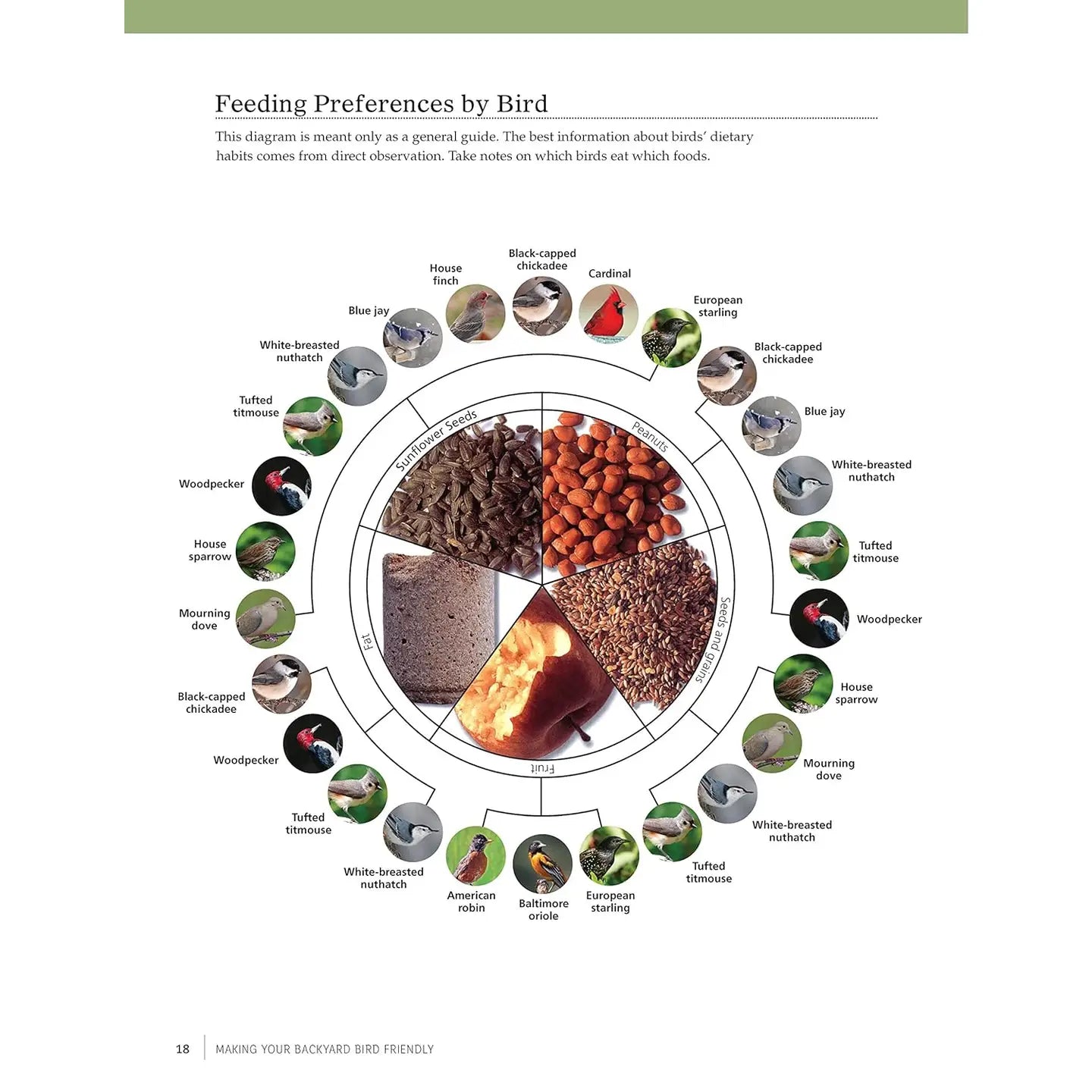 Birdhouses, Boxes & Feeders