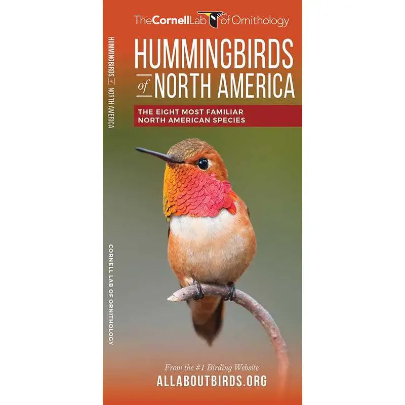 Hummingbirds of North America