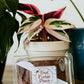 Chocolate Fudge 8 oz