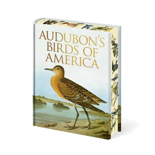 Audubon's Birds of America by John James