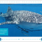 My First Book of SHARKS