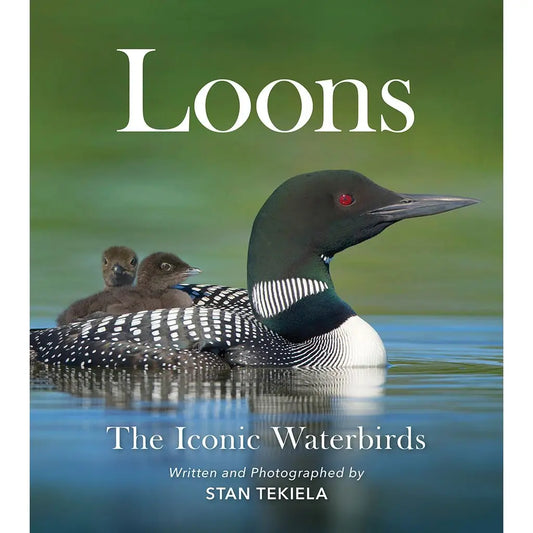 Loons: The lconic Waterbirds