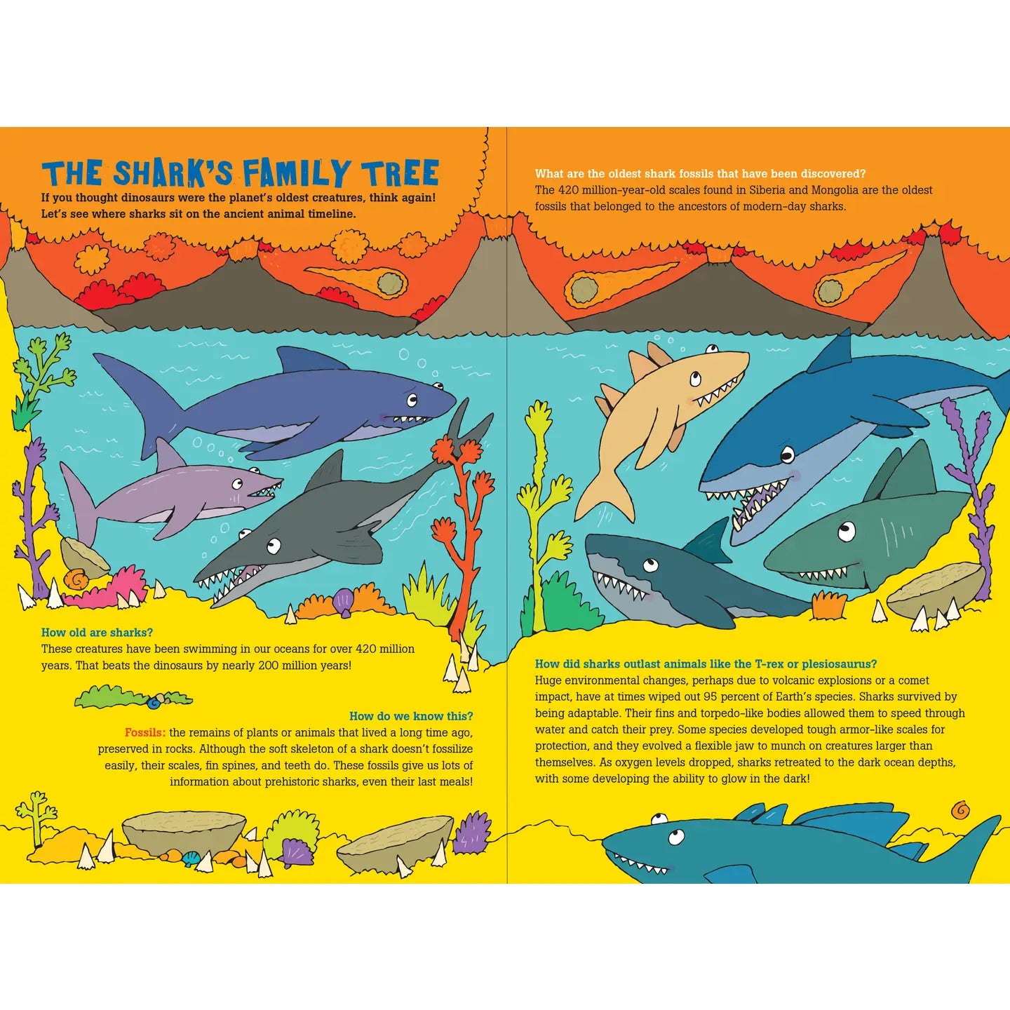 100 Questions about SHARKS