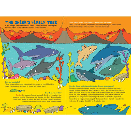 100 Questions about SHARKS