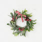 9 inch Ring-sparkled mistletoe w/red berries