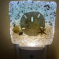 Coastal Night Light-Sand Dollar