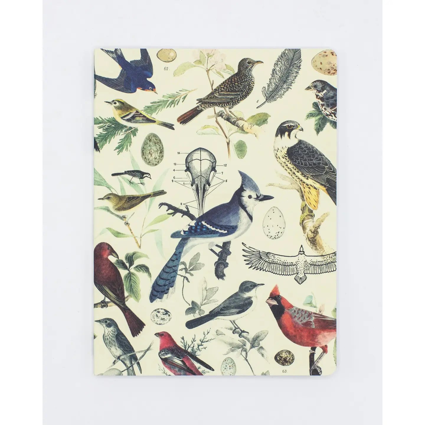 Ornithology: Birds Softcover Notebook-Dot Grid Pages