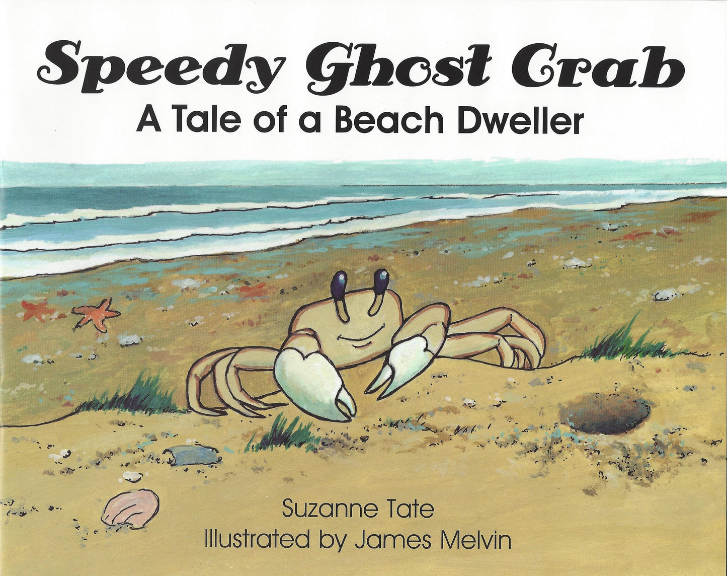 Speedy Ghost Crab by Suzanne Tate