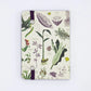Medicinal Botany Observation Softcover