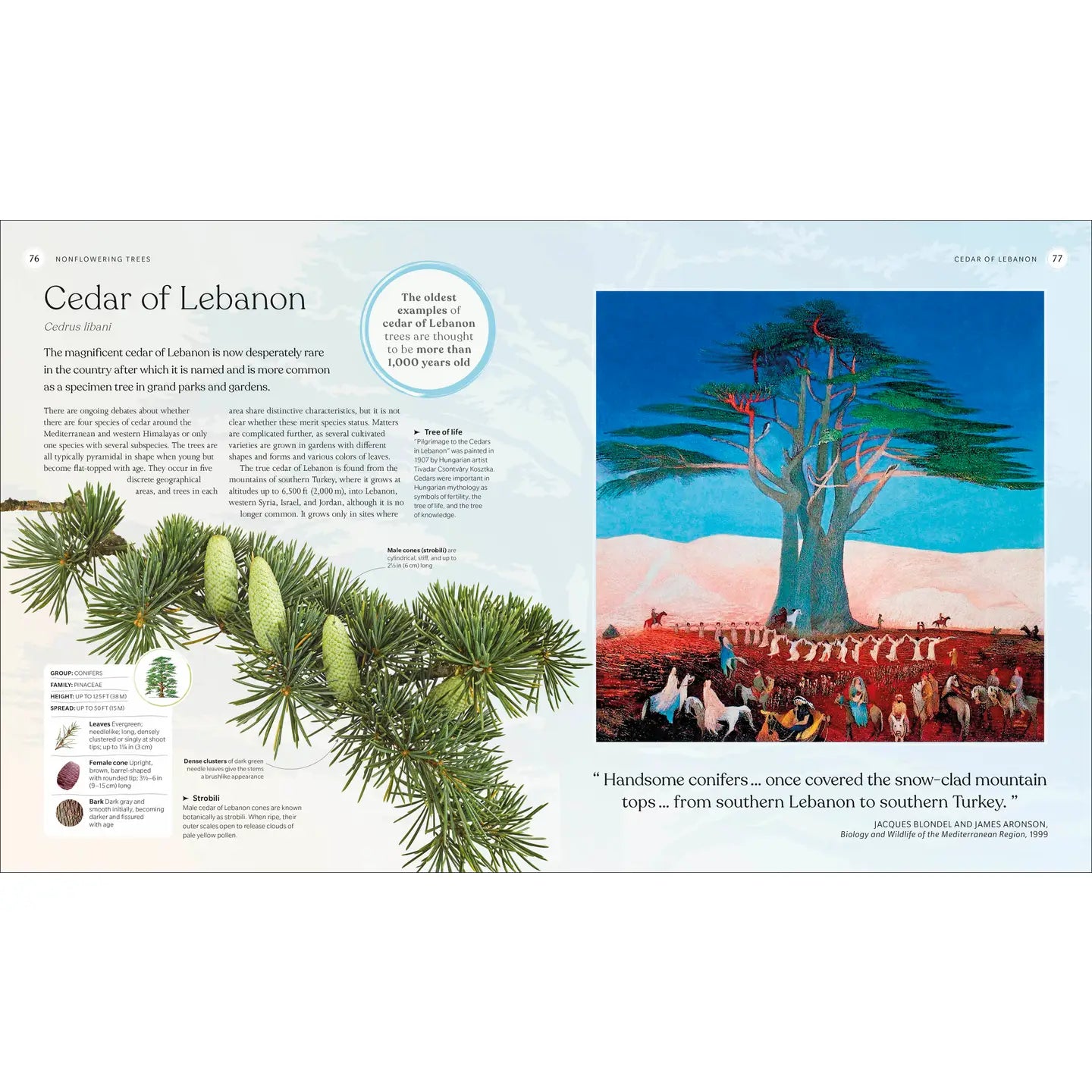 Tree Book