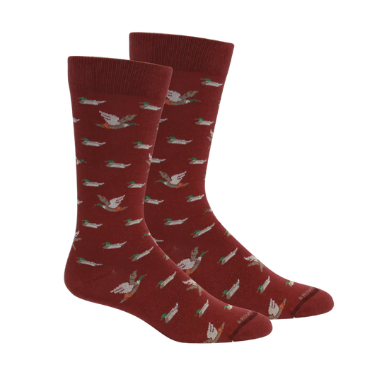 Socks, Belhaven (Ducks) - Tibetan Red Brown Dog