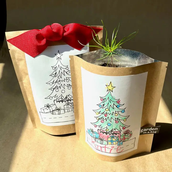 Kids Garden in a Bag, Christmas Tree