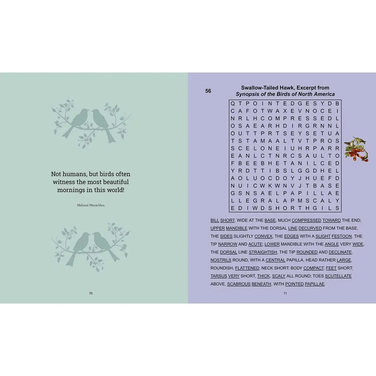 Audubon's Birds Wordsearch by Erick Saunders