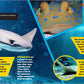 The Fascinating Ocean Book for KIDS