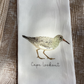 Sand Piper with "Cape Lookout" Dishtowel