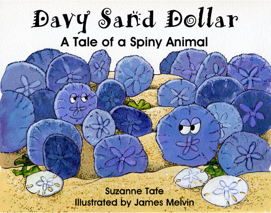 Davy Sand Dollar