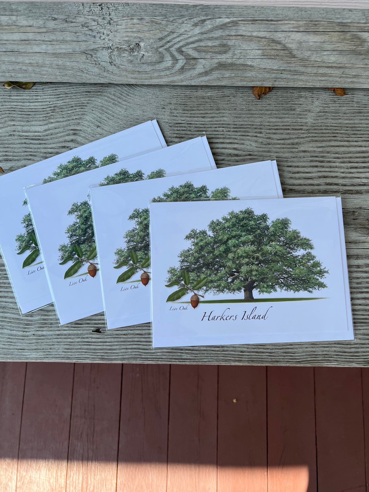 Harkers Island, Live Oak Everyday Greeting Card