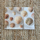 2027 Calendar "Treasures"