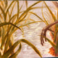 "In the Marsh" by Emily Morta