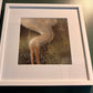 "Splash" by Emily Morta