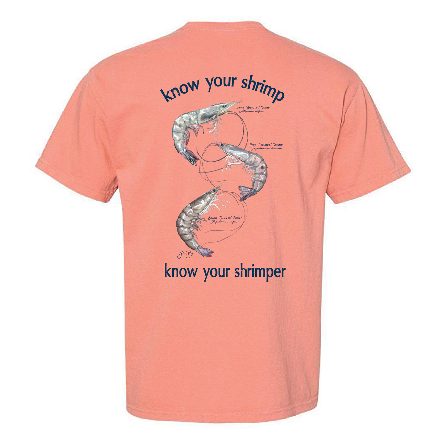 JBB Shrimp 2026 Terracotta SS