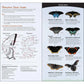 Butterflies of the South & Southeast