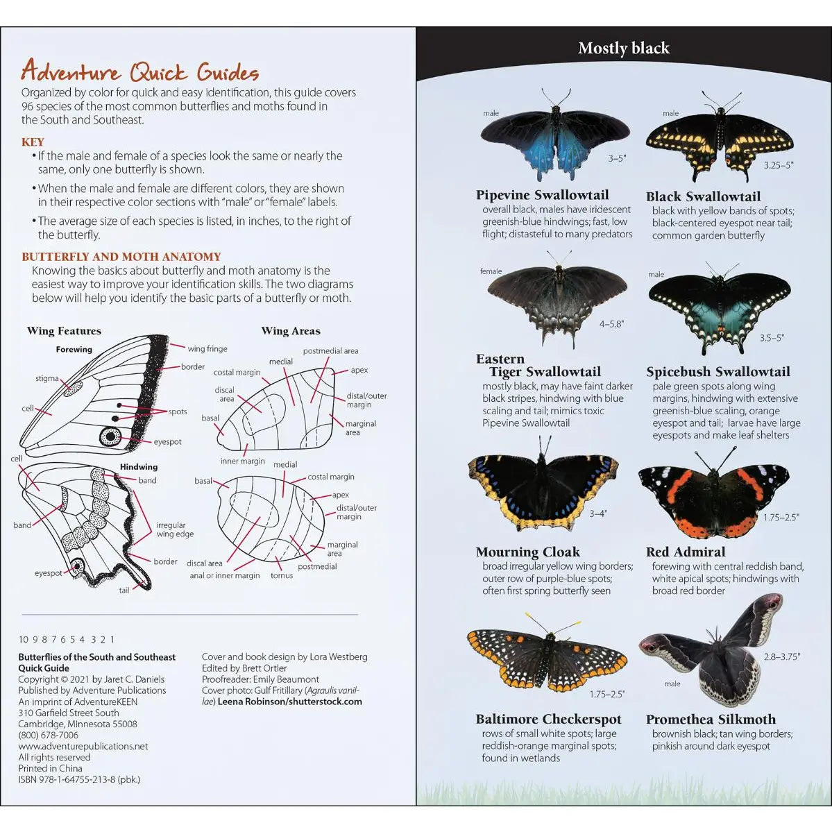 Butterflies of the South & Southeast
