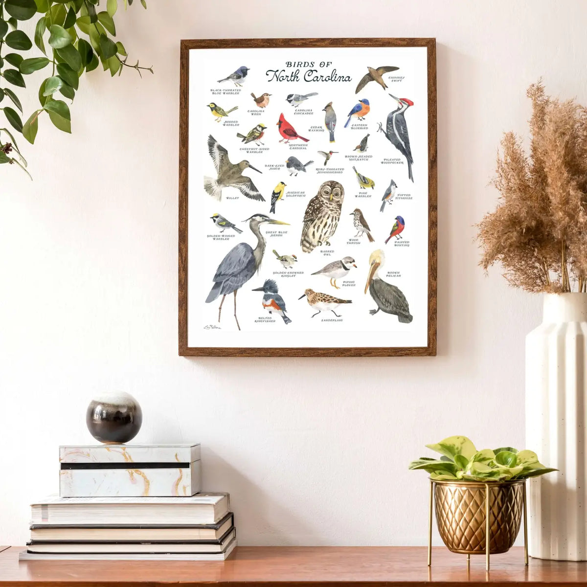 Birds of North Carolina-field guide 8X10