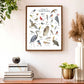 Birds of North Carolina-field guide 11X14