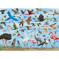 All The Birds 1000 Jigsaw Puzzle
