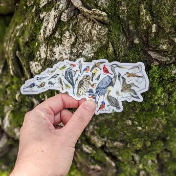 NC Birds Vinyl Sticker - Small