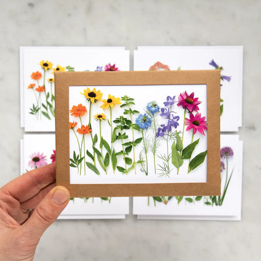 Card Set - Summer Flower Rainbows