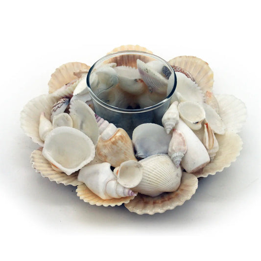 Assorted White Shell Glass Tealight Holder