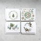 Card Set - Evergreens & Trees