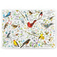 Bird Medley placemat